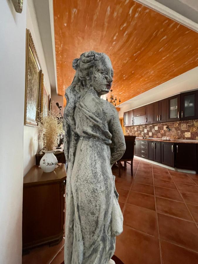 Venus - Cozy Apt With Terrace Влёра Экстерьер фото